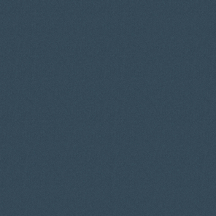 Обои флизелиновые Erismann Richard 60833-12 1,06х10 м