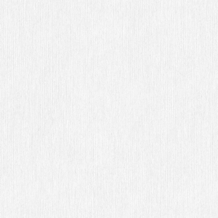 Обои флизелиновые Erismann Basic Etel 60980-02 1,06х10 м
