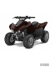 Эмаль аэрозольная Decorix Professional RAL 8017 шоколадно-коричневый 520 мл от интернет-магазина Венас