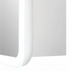 Зеркало EMOTION led /600х800мм/шкаф/полка/внутр подсветка/сенсор/ Континент