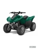 Эмаль аэрозольная Decorix Professional RAL 6005 зеленый мох 520 мл от интернет-магазина Венас