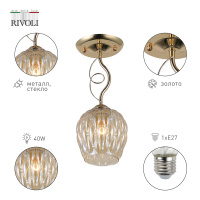 Светильник потолочный для натяжных потолков Rivoli Daiane 9120-201 1х40 Вт Е27