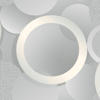 Обои флизелиновые Erismann Orbita 60800-02 1,06х10 м