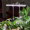LED Uniel светодиод светильник д/растений ULI-P10-10W/SPFR /1х 01LED/10Вт/550мм/ IP40/