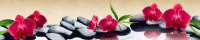 Панель фартук д/кухни Красные орхидеи ABS /3000х600х1,5/