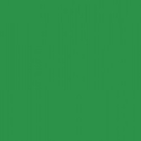 DELUXE /0,45х 8м/ 7046В зеленая глянцевая пленка самоклеящаяся