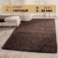 Ковер Витебские ковры Shaggy sh/58 0,6х1 м от интернет-магазина Венас