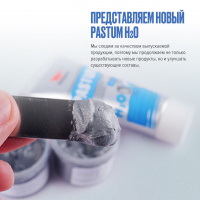 Паста уплотнительная Pastum H2O 70 г