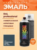 Эмаль аэрозольная Decorix Professional RAL 7024 графитовый серый 520 мл от интернет-магазина Венас